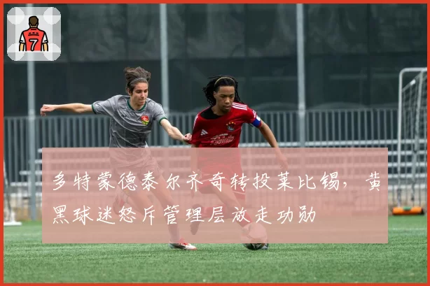 多特蒙德泰尔齐奇转投莱比锡,黄黑球迷怒斥管理层放走功勋