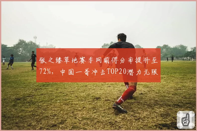 张之臻草地赛季网前得分率提升至72%，中国一哥冲击TOP20潜力无限__br_